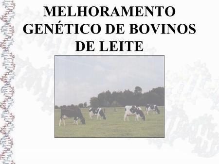 MELHORAMENTO GENÉTICO DE BOVINOS DE LEITE