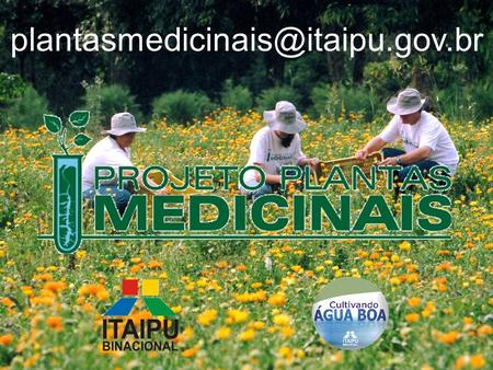 Plantasmedicinais@itaipu.gov.br.