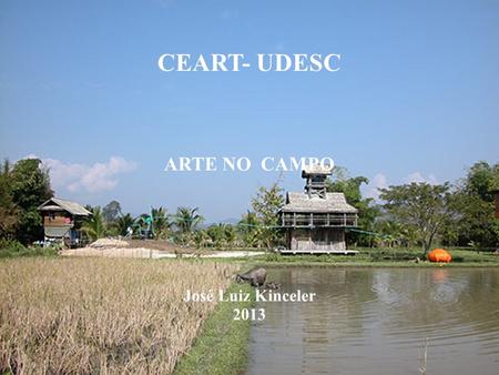 CEART- UDESC ARTE NO CAMPO José Luiz Kinceler 2013.