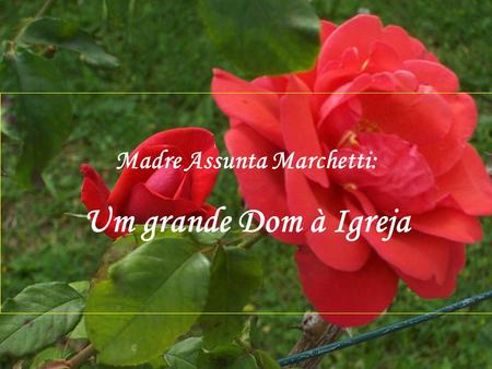 Madre Assunta Marchetti: