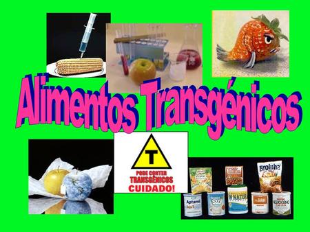 Alimentos Transgénicos