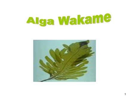Alga Wakame.