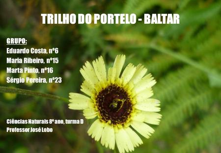 TRILHO DO PORTELO - BALTAR