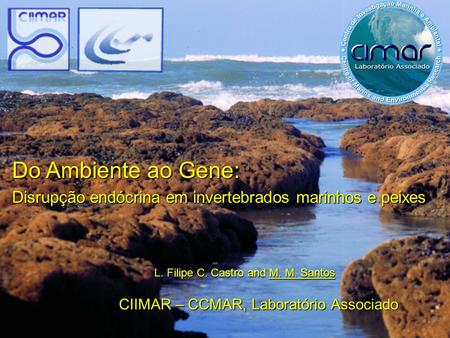 Do Ambiente ao Gene: Disrupção endócrina em invertebrados marinhos e peixes L. Filipe C. Castro and M. M. Santos CIIMAR – CCMAR, Laboratório Associado.