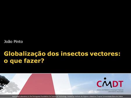 Globalização dos insectos vectores: o que fazer?
