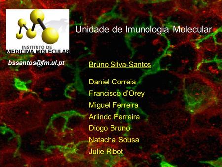 Unidade de Imunologia Molecular