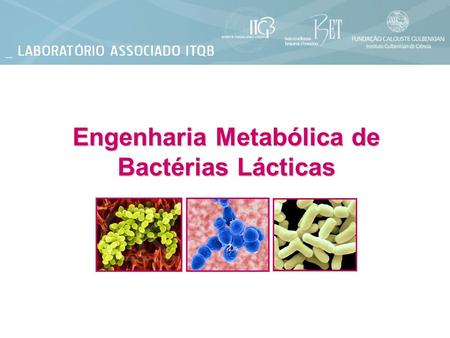 Engenharia Metabólica de Bactérias Lácticas