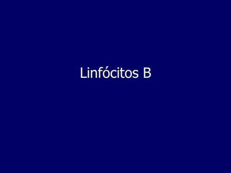 Linfócitos B.