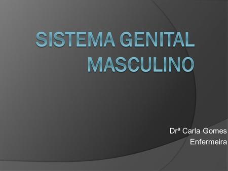 Sistema Genital Masculino