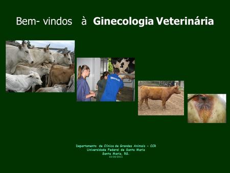 Bem- vindos à Ginecologia Veterinária