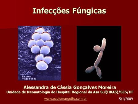 Infecções Fúngicas Alessandra de Cássia Gonçalves Moreira