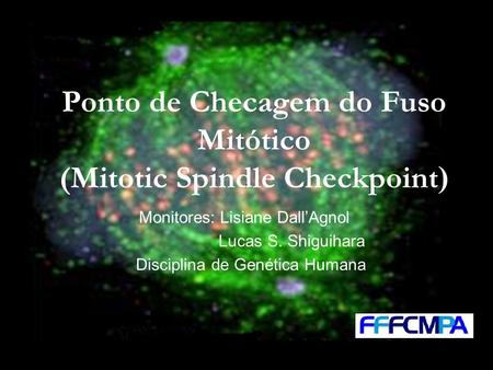 Ponto de Checagem do Fuso Mitótico (Mitotic Spindle Checkpoint)