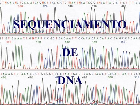 SEQUENCIAMENTO DE DNA.