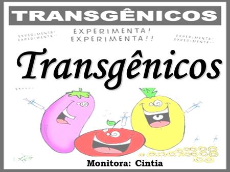 Transgênicos Monitora: Cintia.