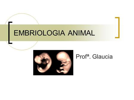 EMBRIOLOGIA ANIMAL Profª. Glaucia.