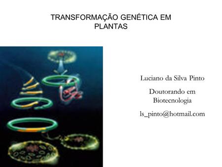 TRANSFORMAÇÃO GENÉTICA EM PLANTAS