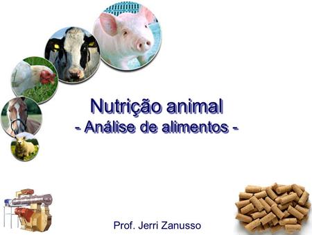 Nutrição animal - Análise de alimentos -