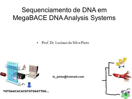 Sequenciamento de DNA em MegaBACE DNA Analysis Systems