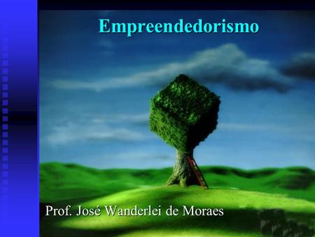 Prof. José Wanderlei de Moraes