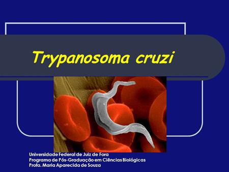 Trypanosoma cruzi Universidade Federal de Juiz de Fora