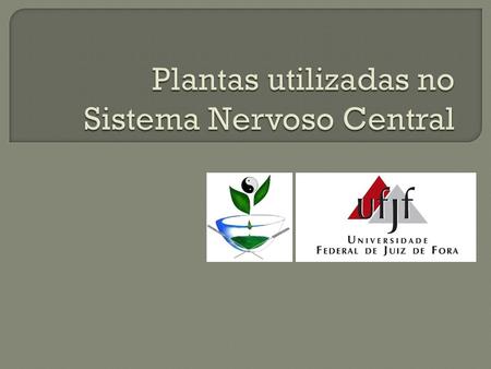 Plantas utilizadas no Sistema Nervoso Central