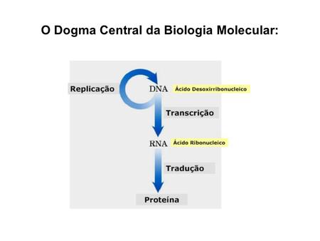 O Dogma Central da Biologia Molecular: