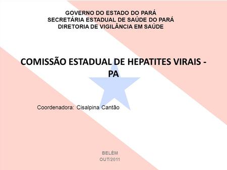 COMISSÃO ESTADUAL DE HEPATITES VIRAIS -PA