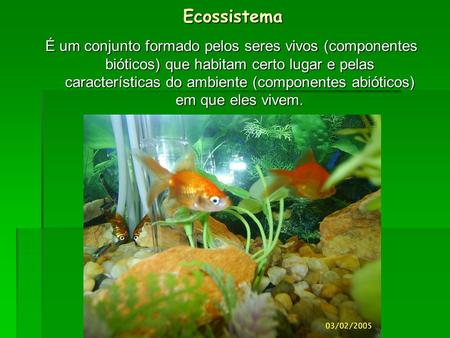 Ecossistema É um conjunto formado pelos seres vivos (componentes bióticos) que habitam certo lugar e pelas características do ambiente (componentes abióticos)