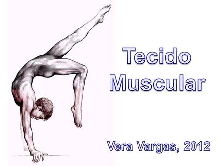 Tecido Muscular Vera Vargas, 2012.