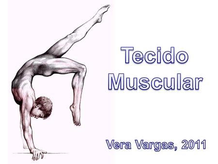 Tecido Muscular Vera Vargas, 2011.
