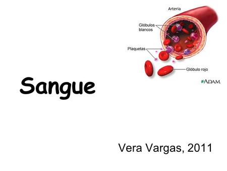 Sangue Vera Vargas, 2011.