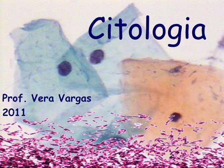 Citologia Prof. Vera Vargas 2011.