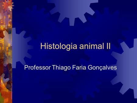 Professor Thiago Faria Gonçalves