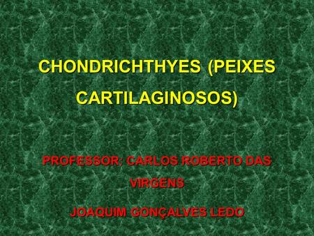 CHONDRICHTHYES (PEIXES CARTILAGINOSOS)