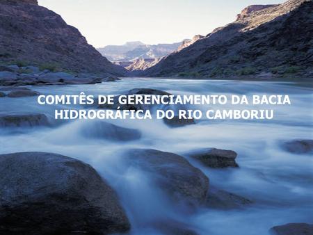 COMITÊS DE GERENCIAMENTO DA BACIA HIDROGRÁFICA DO RIO CAMBORIU