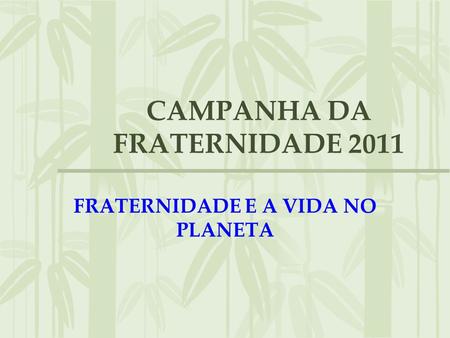 CAMPANHA DA FRATERNIDADE 2011