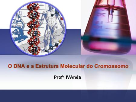 O DNA e a Estrutura Molecular do Cromossomo
