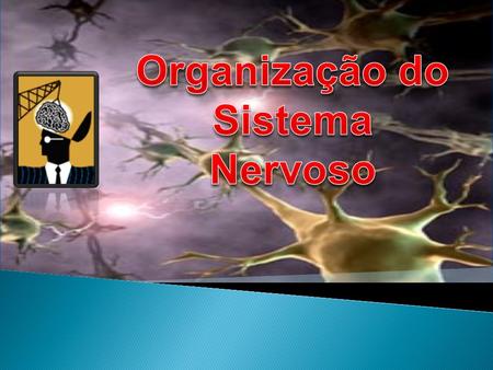 Organização do Sistema Nervoso