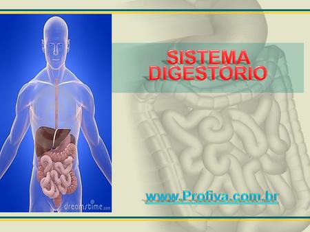 SISTEMA DIGESTÓRIO www.Profiva.com.br.