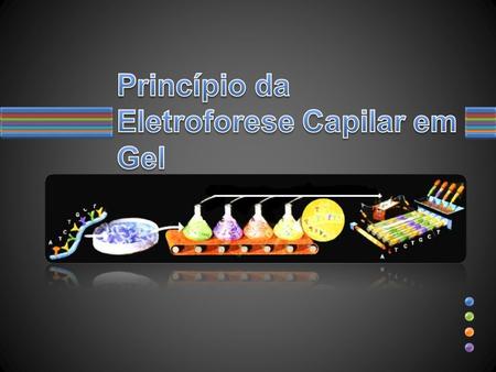 Princípio da Eletroforese Capilar em Gel