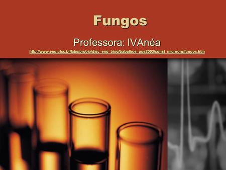 Fungos Professora: IVAnéa