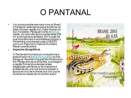 O PANTANAL Um dos ecossistemas mais ricos do Brasil, o Pantanal, estende-se pelos territórios do Mato-Grosso (região sul), Mato-Grosso do Sul (noroeste),