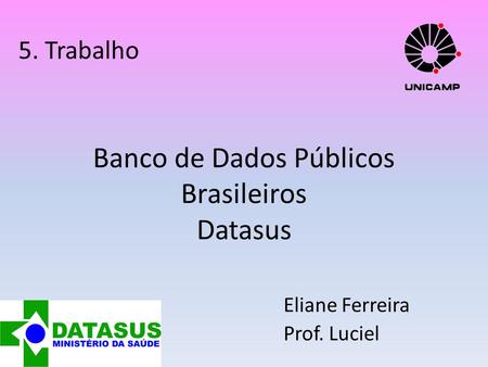 Banco de Dados Públicos Brasileiros Datasus