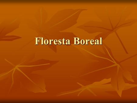Floresta Boreal.