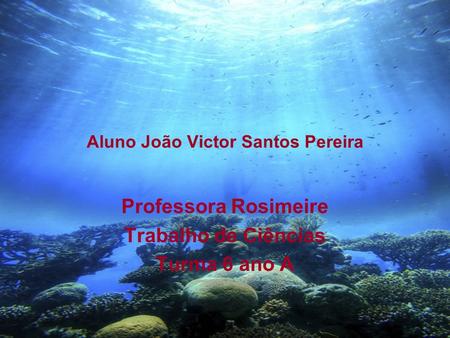Aluno João Victor Santos Pereira