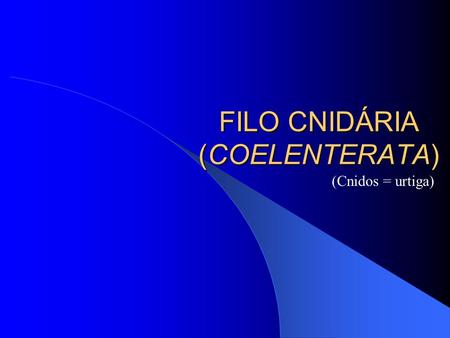 FILO CNIDÁRIA (COELENTERATA)