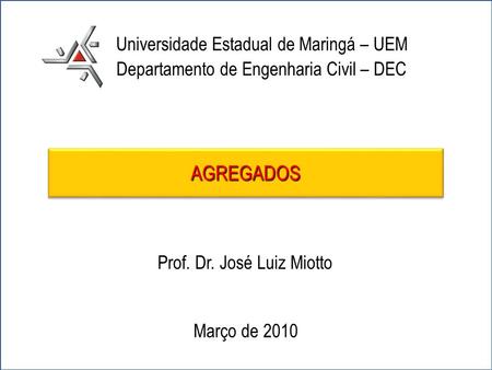 Prof. Dr. José Luiz Miotto