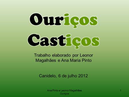 Ouriços Castiços Trabalho elaborado por Leonor Magalhães e Ana Maria Pinto Canidelo, 6 de julho 2012 Ana Pinto e Leonor Magalhães Ouriços.
