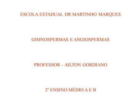 ESCOLA ESTADUAL DR MARTINHO MARQUES
