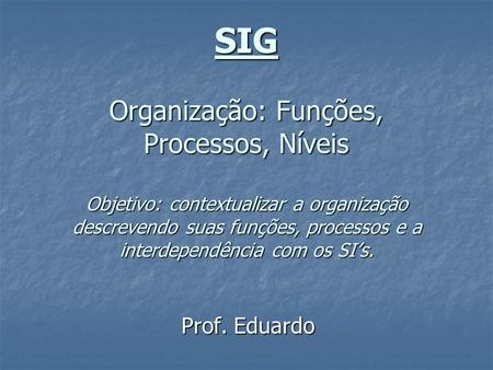 SIG Organização: Funções, Processos, Níveis Objetivo: contextualizar a organização descrevendo suas funções, processos e a interdependência com os SI’s.